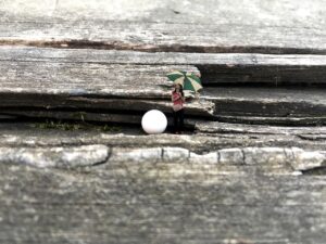 40代の顔たるみ対策に最適なセット販売はお得なの？