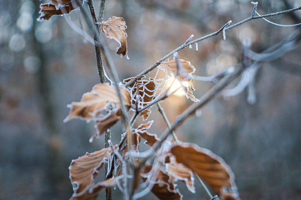顔たるみを防ぐ40代の冬の乾燥対策は？