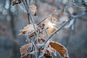 顔たるみを防ぐ40代の冬の乾燥対策は？